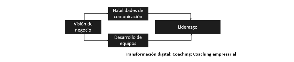 flujo que muestra como se relacionan los elementos para el coaching empresarial