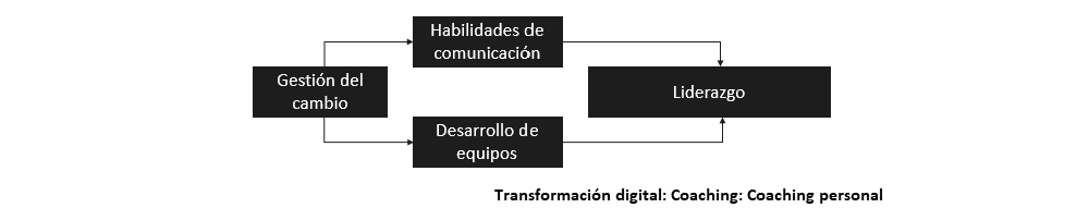 flujo que muestra como se relacionan los elementos para el coaching personal