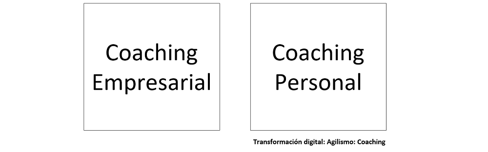 diagrama que muestra como se categorizan los elementos para el coaching