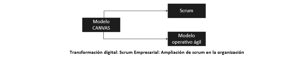 diagrama que muestra como se categorizan los elementos para enterprise scrum: ampliación de scrum en la organización