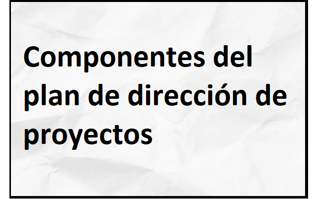 componentes del plan dirección del proyecto