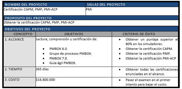 acta de constitución del proyecto