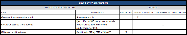 descripción del ciclo de vida del proyecto