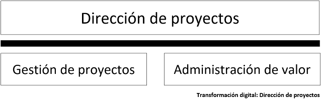 diagrama que muestra como se categorizan los elementos para la dirección de proyectos
