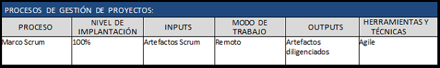 plan para la dirección del proyecto